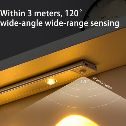 Intelligent Light